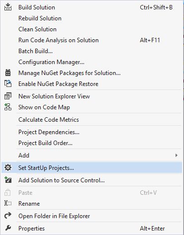 click Set StartUp Projects